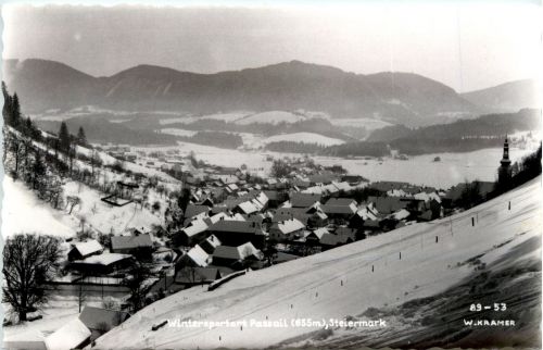 Graz/Steiermark - Sommerfrische Passeil im Winter