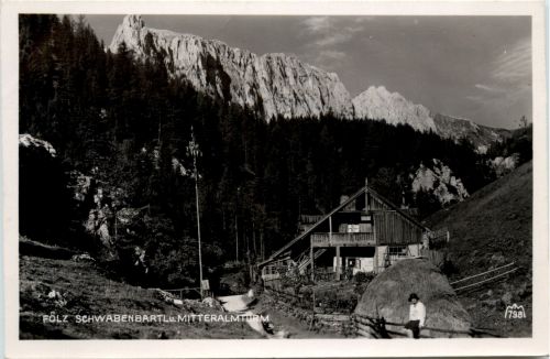 Aflenz/Steiermark - Fölz Schwabenbartl u. Mitteralmturm