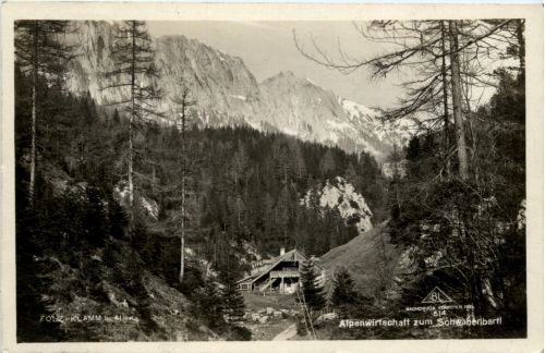 Aflenzl/Steiermark - Alpenwirtschaft zum Schwabenbartl