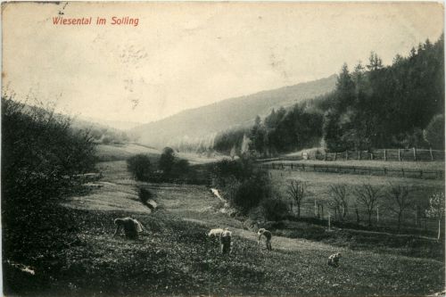 Wiesental im solling