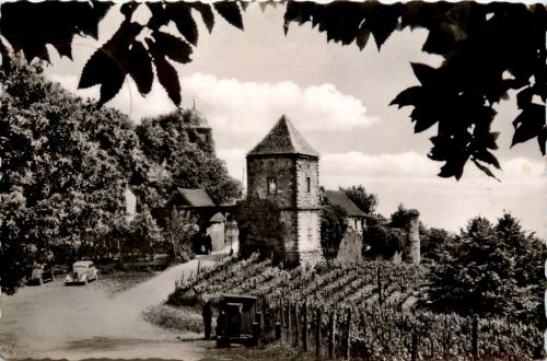 Kropsburg bei St. Martin