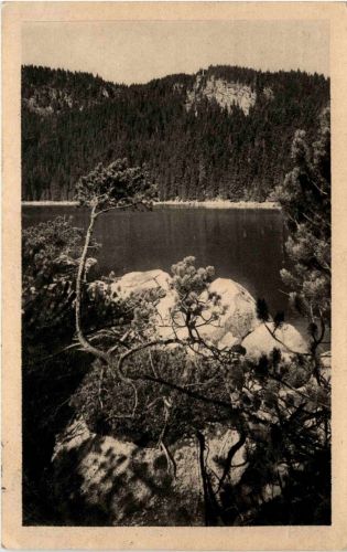 Böhmerwald - Plöckensteiner See