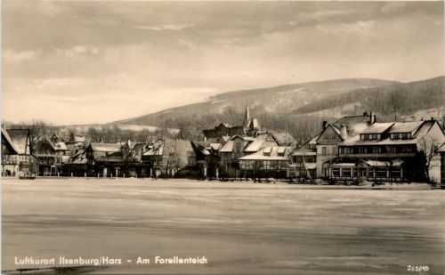 Ilsenburg - Am Forellenteich
