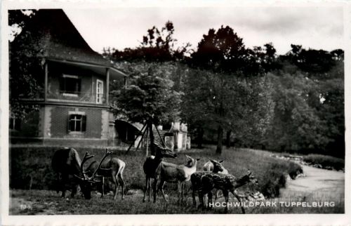 Hochwildpark Tuppelburg
