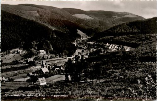 Brilon Wald