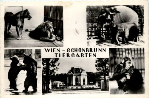 Wien Schönbrunn - Tiergarten