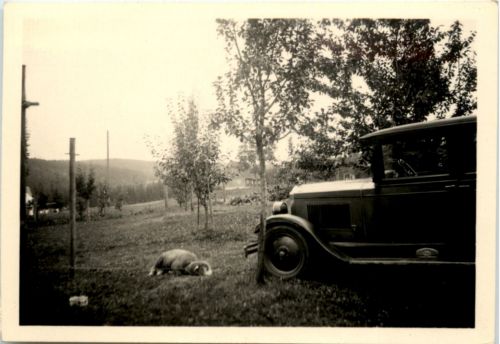 Auto - Car