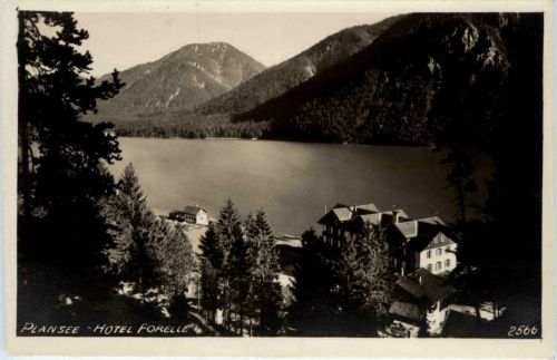 Plansee - Hotel Forelle