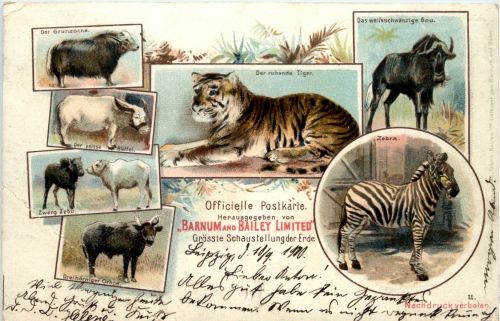 Barnum and Bailey Limited - Tiger Zebra - Litho