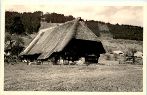 Wolfach