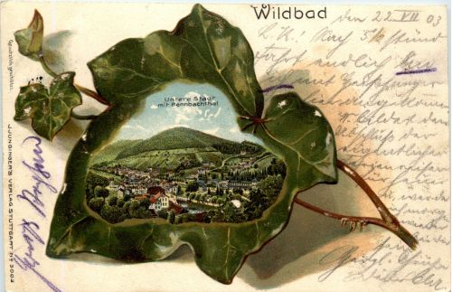 Wildbad - Litho