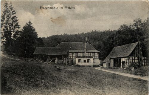 Froschmühle im Mühltal
