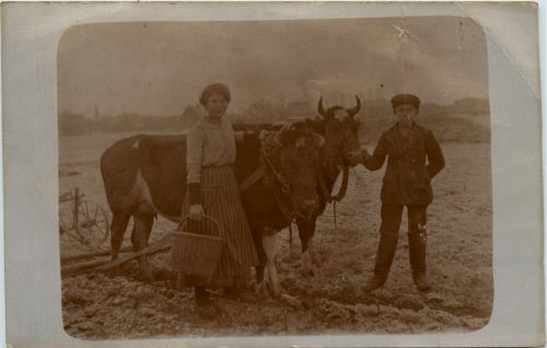Landwirtschaft