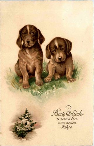 Neujahr - Dogs