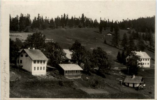 Weiz/Steiermark - Alpenheim Eibisberg bei Weiz