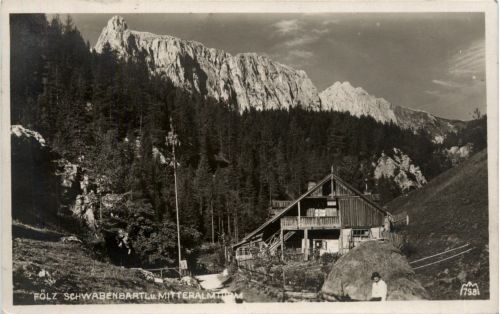 Aflenz/Steiermark -Fölz - Schwabenbartl u. Mitteralm