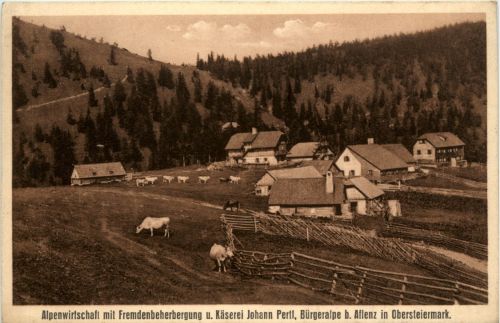 Aflenz/Steiermark - Alpenwirtschaft u. Käserei Johann Pertl, Bürgeralpe b.Aflenz