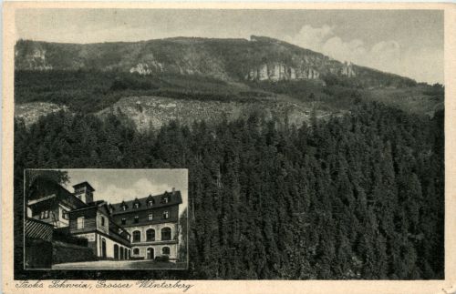 Grosser Winterberg