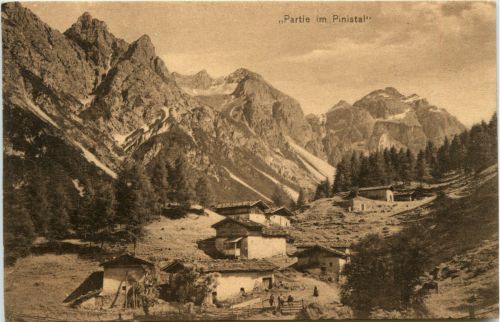 Partie im Pinistal