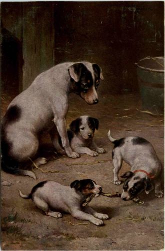 Hunde