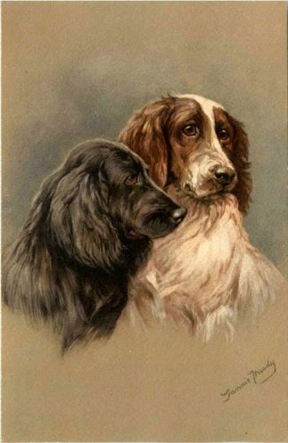 Hunde