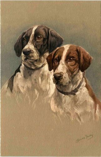 Hunde