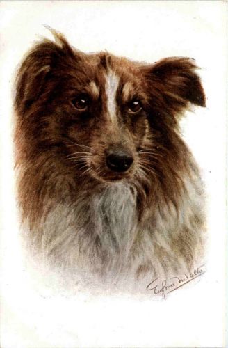 Hund