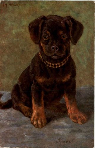 Hund