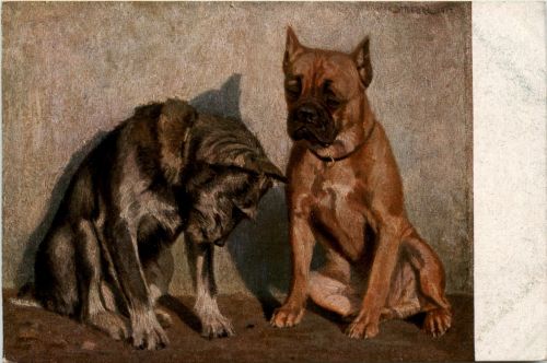Hunde