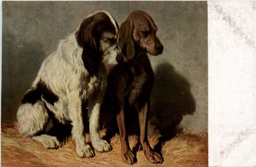 Hunde