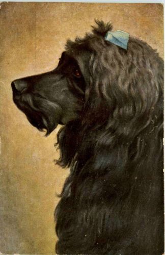 Hund