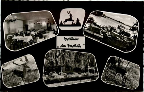 Berlin - Tegel - Am Forsthaus