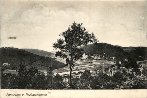 Neckarsteinach