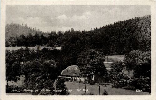 Damm Mühle bei Friedrichroda