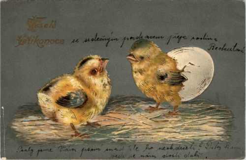 Ostern - Prägekarte - Chicken