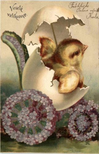 Ostern - Chicken