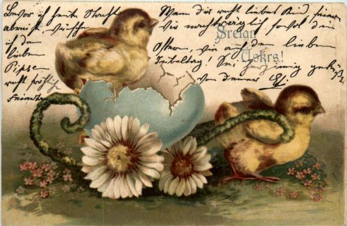 Ostern - Chicken