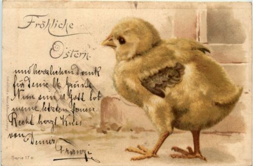 Ostern - Chicken