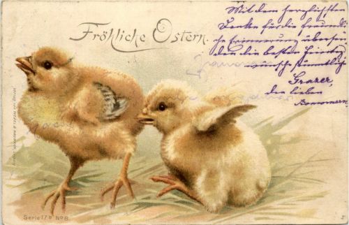 Ostern - Chicken