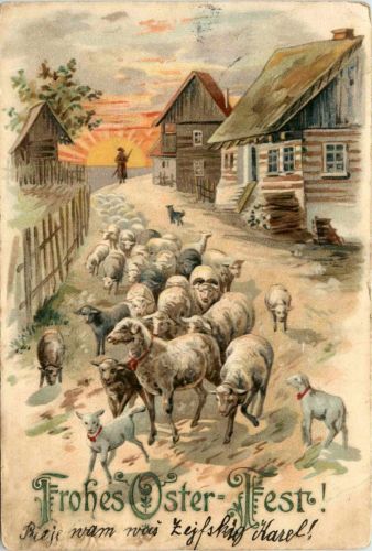 Ostern - Sheep