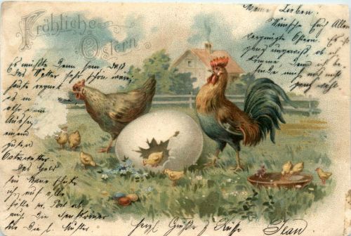Ostern - Chicken