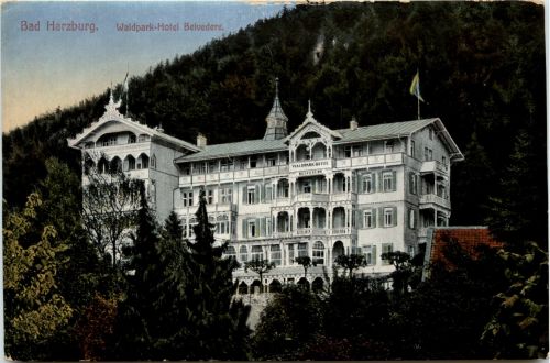 Bad Harzburg - Waldpark Hotel Belvedere