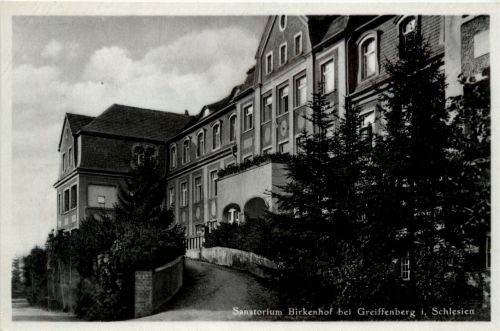 Greiffenberg in Schlesien