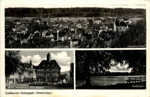 Holzappel