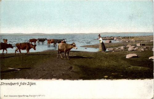 Strandparti fran Siljan