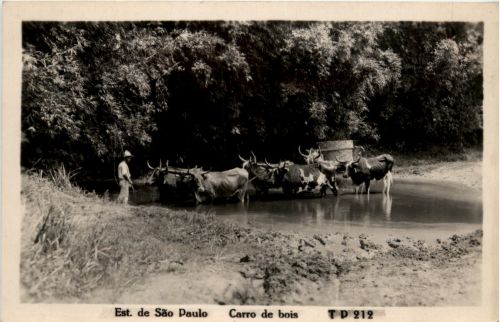 Sao Paulo - Carro de bois