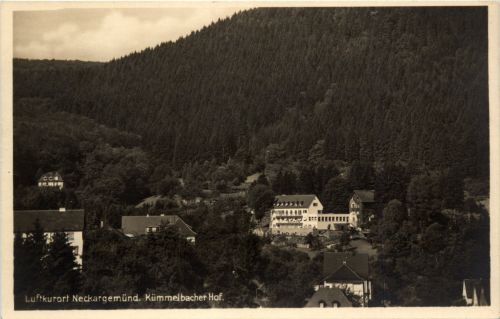 Neckargemünd - Kümmelbacher Hof