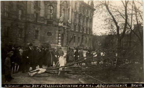 München - Strassenkämpfe 1-3 Mai 1919 - Abgeschossener Baum