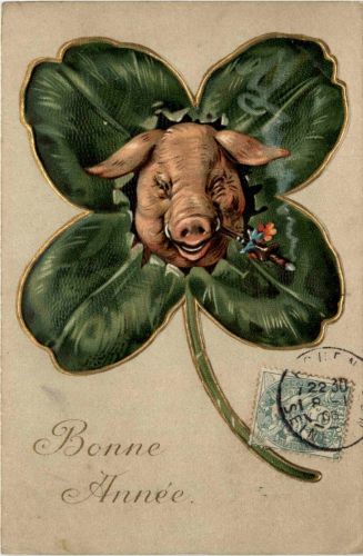 Schwein mit Kleeblatt