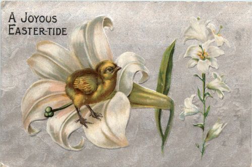 Ostern - Kücken Blume